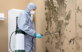 Best Mold Removal for HVAC Installations  in Ashland, OR